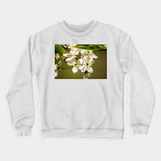 slb tasty Crewneck Sweatshirt